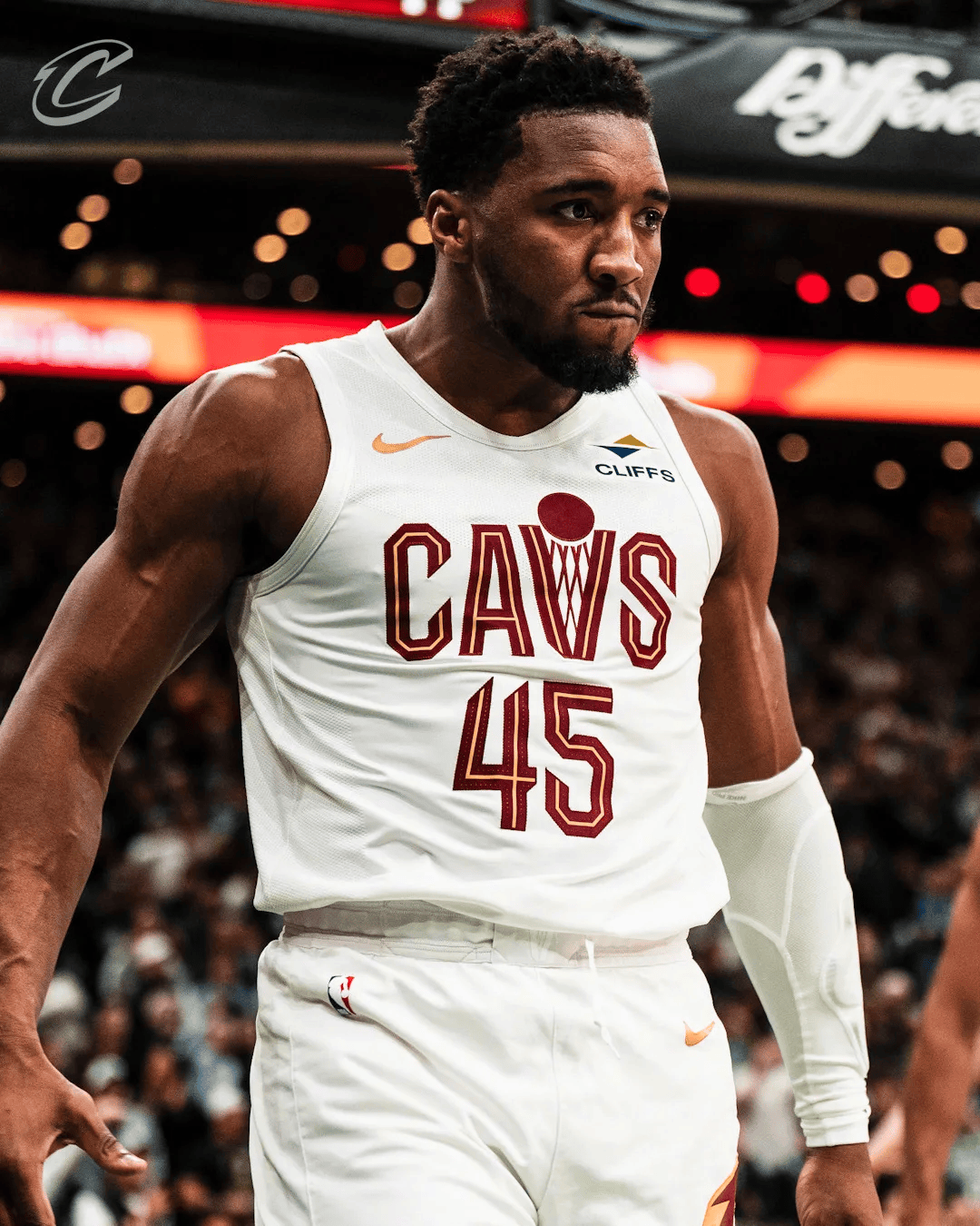 会员等级 会员等级