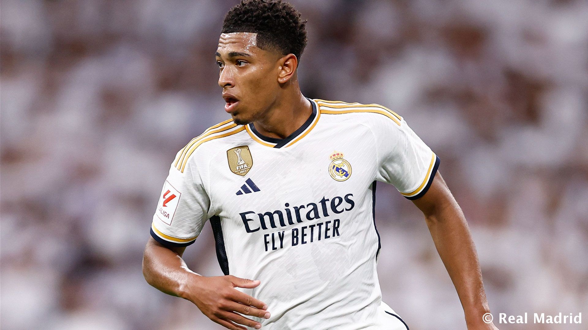 量化磨合 量化磨合